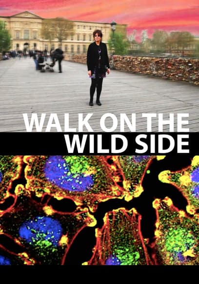 Walk on the Wild Side