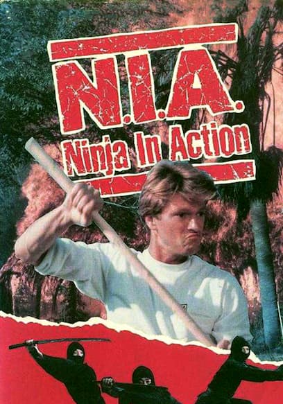 Ninja in Action