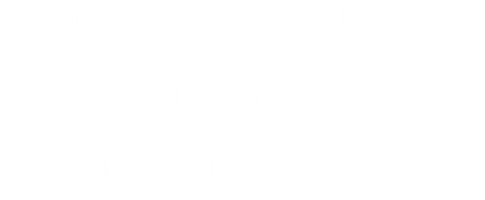 Christmas Tree Lights & Holiday Music