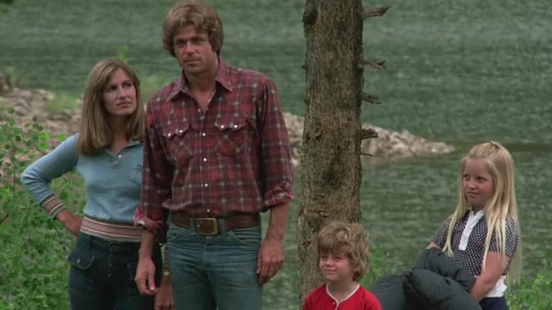 Adventures of the Wilderness Family 1975