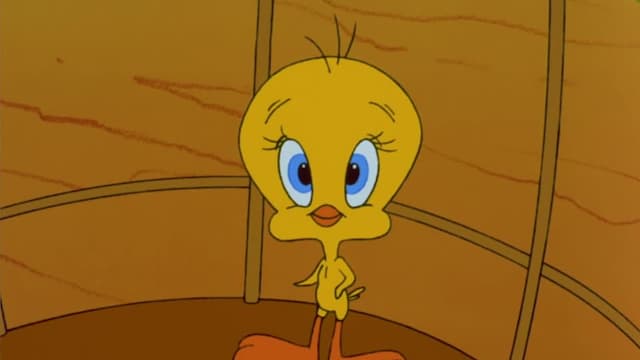 S05:E03 - The Blackboard Jumble/What's the Frequency, Kitty?