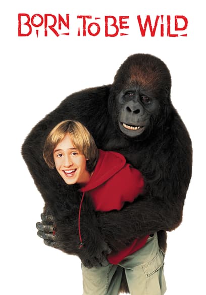 Born to Be Wild poster