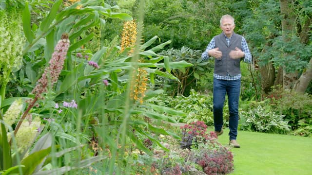 S08:E23 - Episode 23