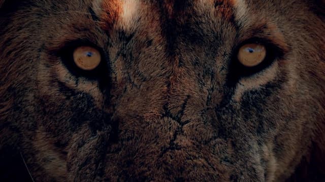 S04:E06 - Serial Killer Creatures