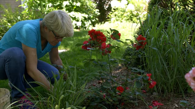 S01:E04 - Gardens Grow Community
