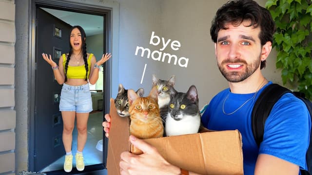 S01:E04 - Moving Out With the Cats