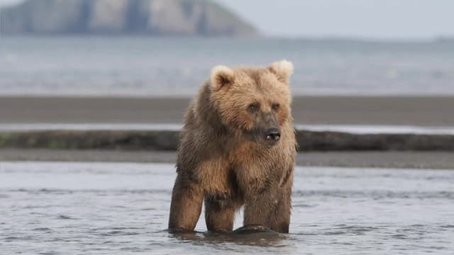 S01:E05 - Vecinos nuevos y viejos