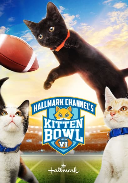 Kitten Bowl VI