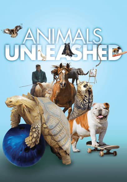 S01:E01 - The Great Catsby