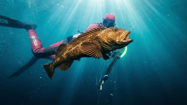 S01:E08 - 5 Days in Canada Chasing This Fish