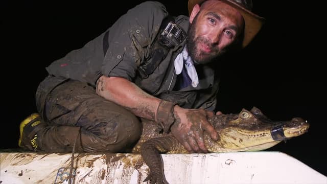 S04:E13 - Dangerous Caiman Catch