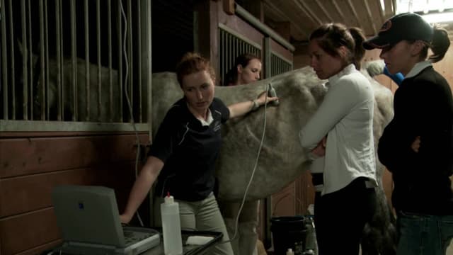 S01:E04 - Birth