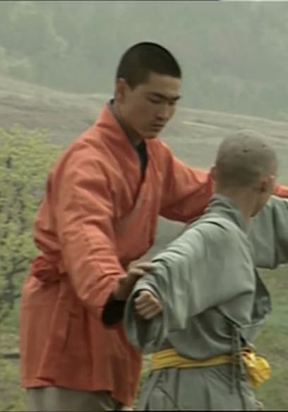 S01:E17 - Shaolin - Masters of Kung Fu poster