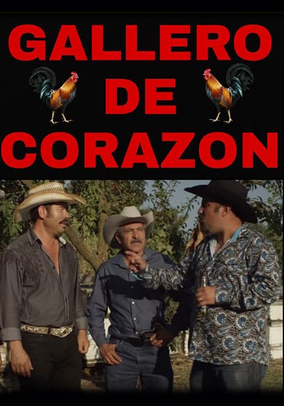 Gallero De Corazon