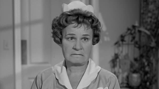 S01:E07 - A Dog for Harold