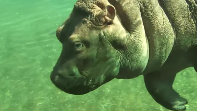 S01:E08 - Episodio 8