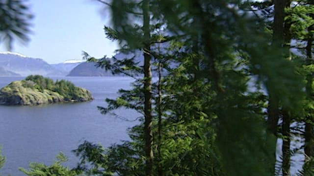 S05:E09 - Building on Islands