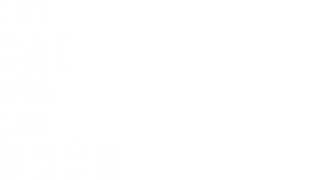 The Cat and the Moon