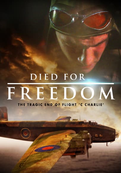 They Died for Freedom: A French Resistance Story