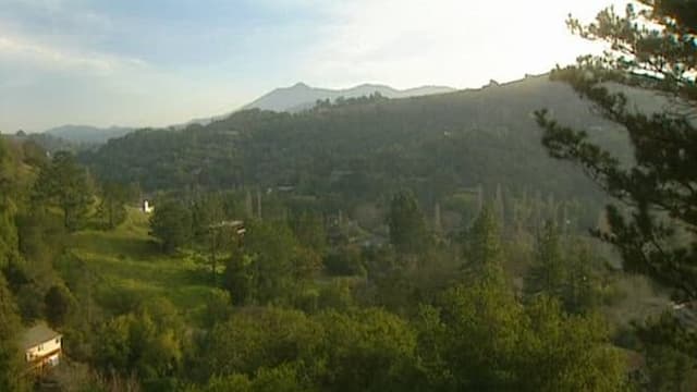 S02:E04 - The Widow and the Wolf / Texas Drifter