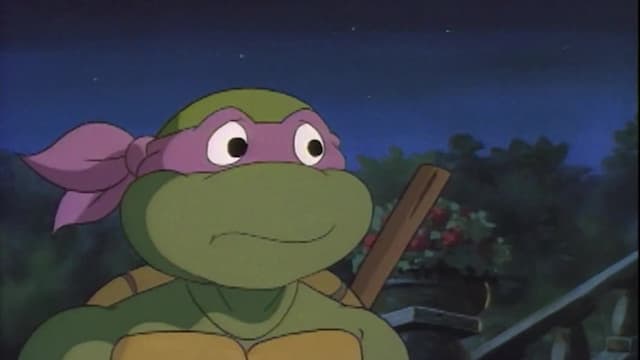 S07:E17 - Elementary, My Dear Turtle