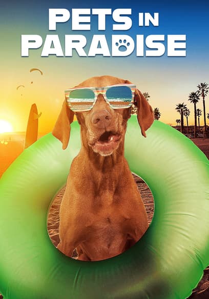 Pets in Paradise