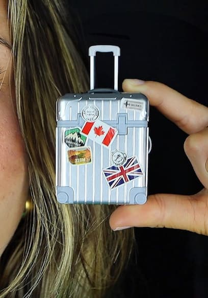 S04:E20 - Surviving With World's Smallest Suitcase poster