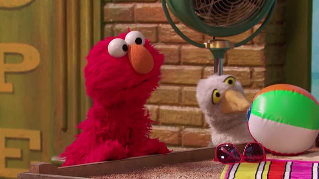 S48:E34 - Surfin’ Sesame Street