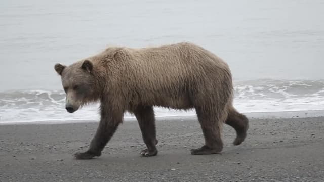 S01:E01 - La última frontera