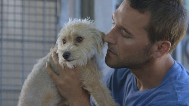 S01:E05 - Daisy
