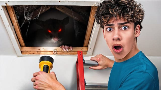 S03:E04 - Something Living in the Attic