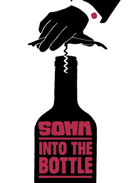 SOMM: Into the Bottle