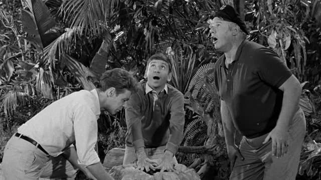 S01:E19 - Gilligan Meets the Jungle Boy