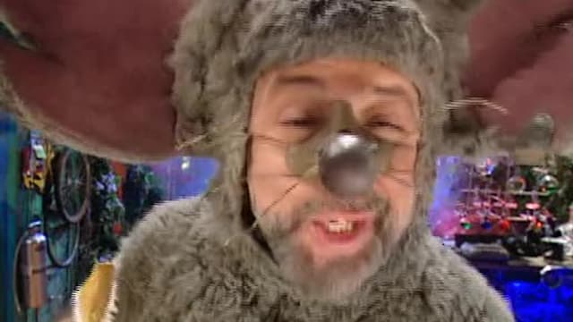 S04:E410 - Elephants, Beakmania & X-Rays