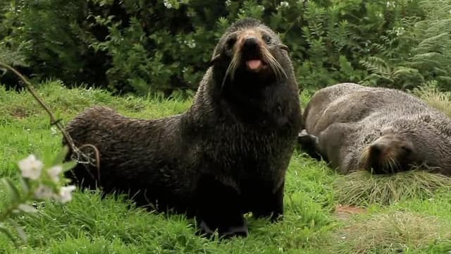 S01:E01 - Episodio 1