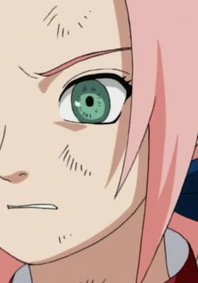 S01:E41 - Kunoichi Rumble: the Rivals Get Serious! poster