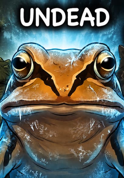 S01:E04 - Every Animal That Shouldn't Be Alive Explained poster