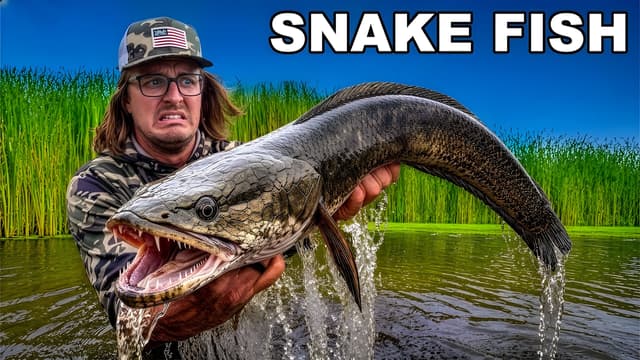 S01:E05 - Florida's Snake Fish