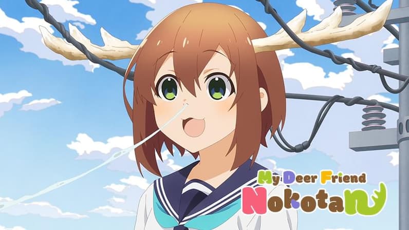 My Deer Friend Nokotan (Dubbed) (2024) poster