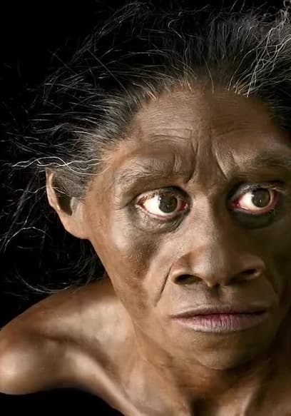 S01:E05 - Homo Floresiensis: The Real-Life Hobbit poster