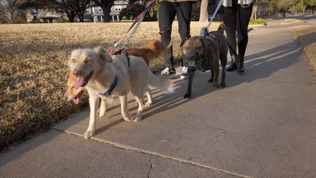 S01:E18 - Home Sweet Home