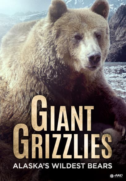 Giant Grizzlies
