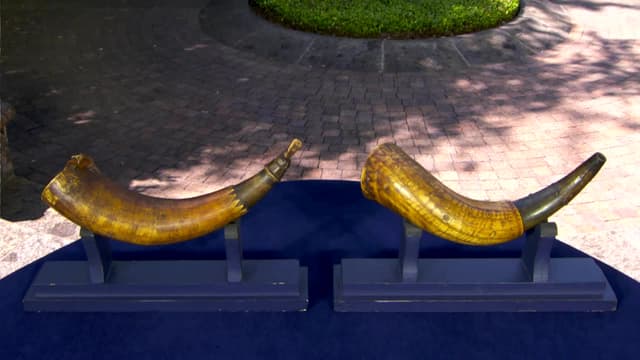 S24:E13 - McNay Art Museum (Hour 1)