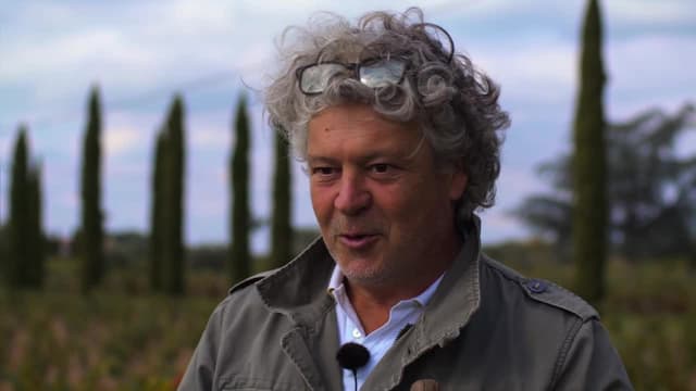 S01:E01 - Are Ungrafted Wines Better Than Grafted Wines?