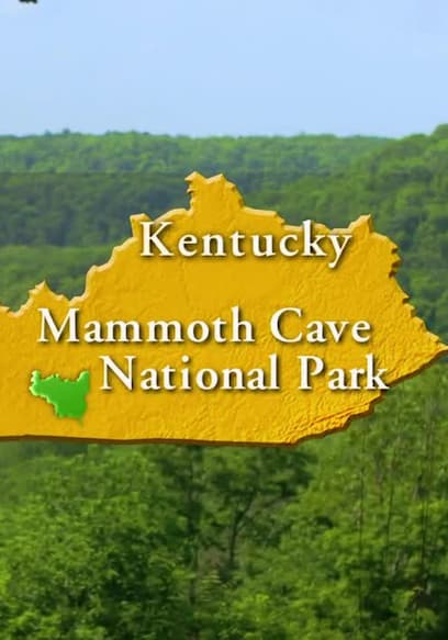 S01:E39 - Mammoth Cave National Park poster