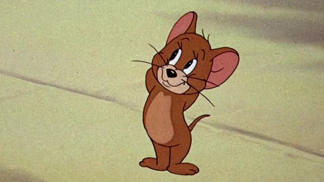 S09:E08 - Springtime for Thomas / Sufferin' Cats / Switchin' Kitten