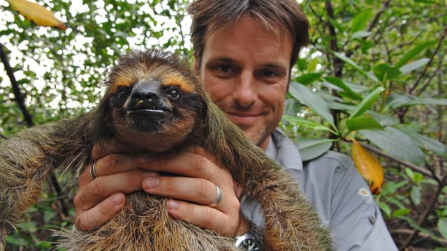 S03:E08 - Pygmy Sloth