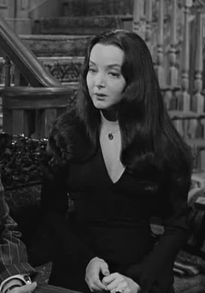 S01:E22 - Amnesia in the Addams Family poster