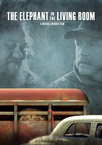 The Elephant in the Living Room poster