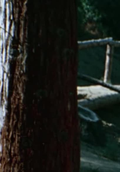 S01:E08 - The Boy Who Said "No" poster